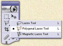 Kies uit het toolvenster de optie "veelhoeklasso" of "Polygonal Lasso"