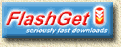 FlashGet - Het ideale maatje voor LeechGuy