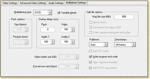 MainConcept MPEG Encoder:  Multiplexer zit er in, gaaf!