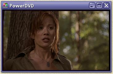 Play a part of the movie, using a software DVD-player (for example PowerDVD)